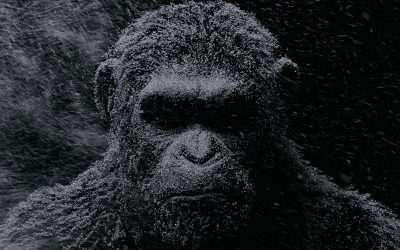 War for the Planet of the Apes (2017)