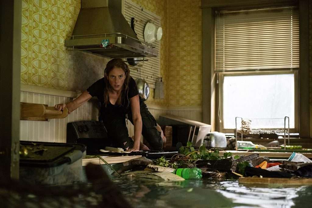 Crawl-2019