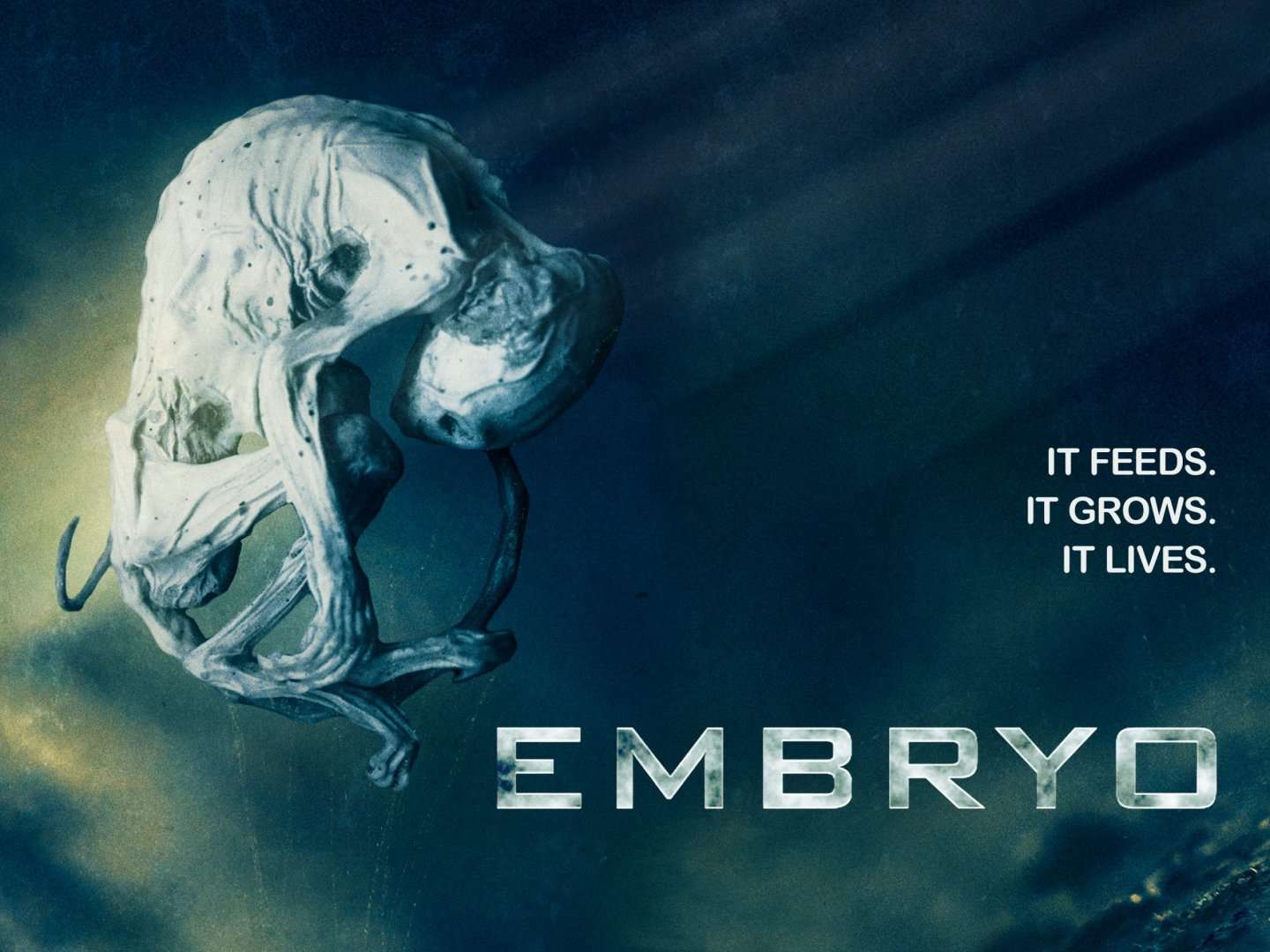 Embryo_Keyart_4x3_2880x2160_alt