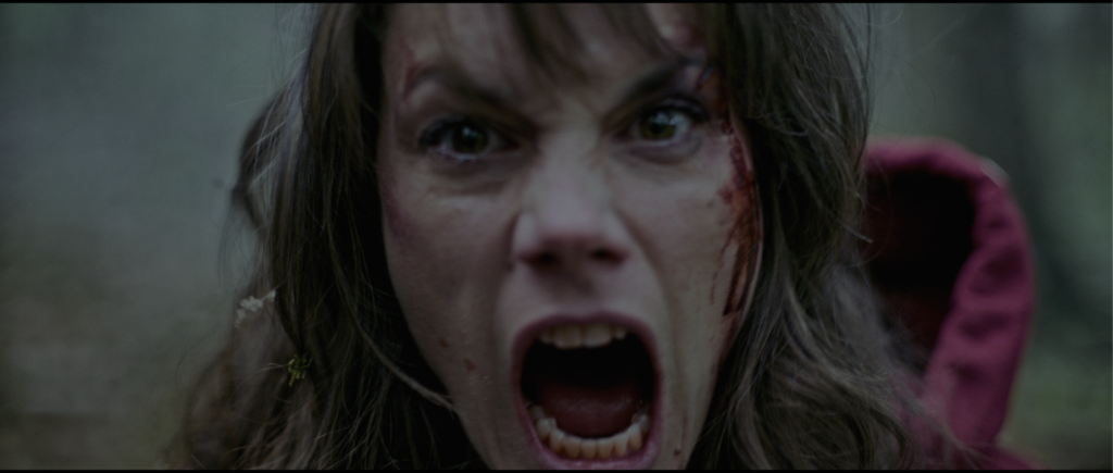 Out Come the Wolves (2024) OUT COME THE WOLVES Still 6 1024x435