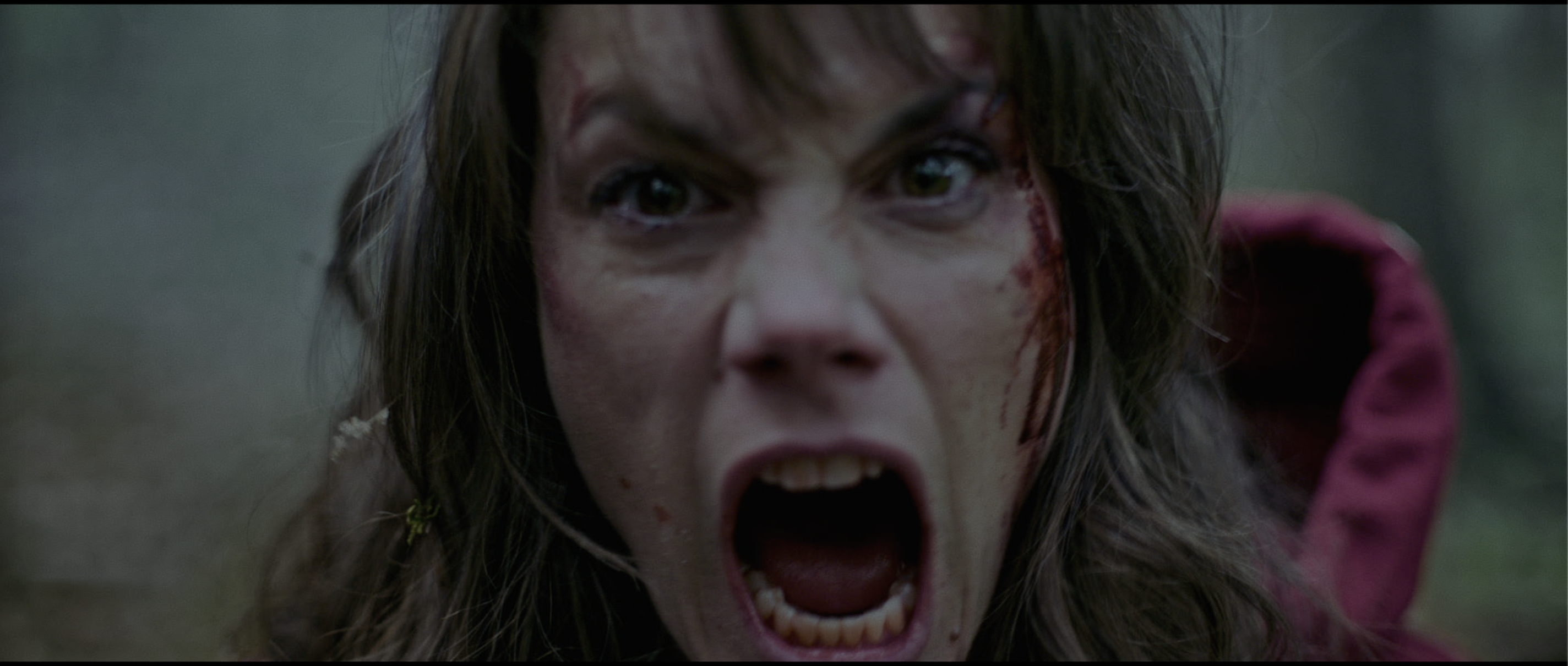 OUT COME THE WOLVES – Still 6