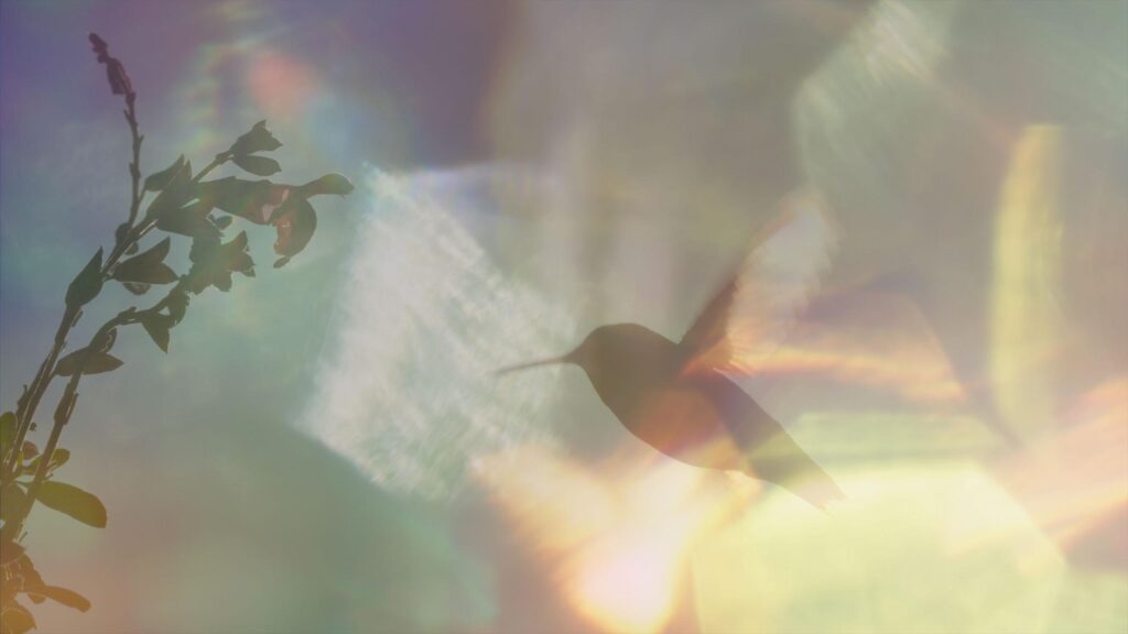 Every Little Thing Feature 1024x576