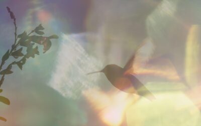 Every Little Thing (2024)