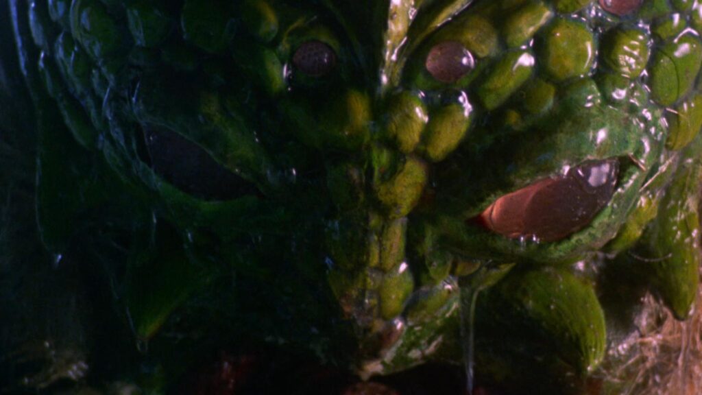 Seedpeople Main 1 1024x576