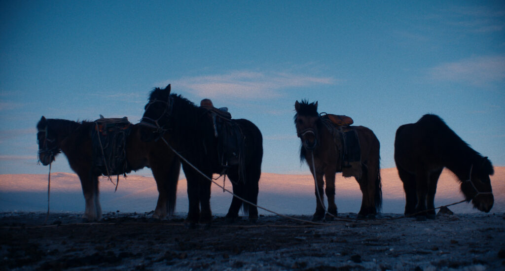 33 Horses Silhouette 1024x550