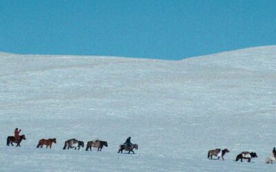 Iron Winter (2025) #BIFF2025