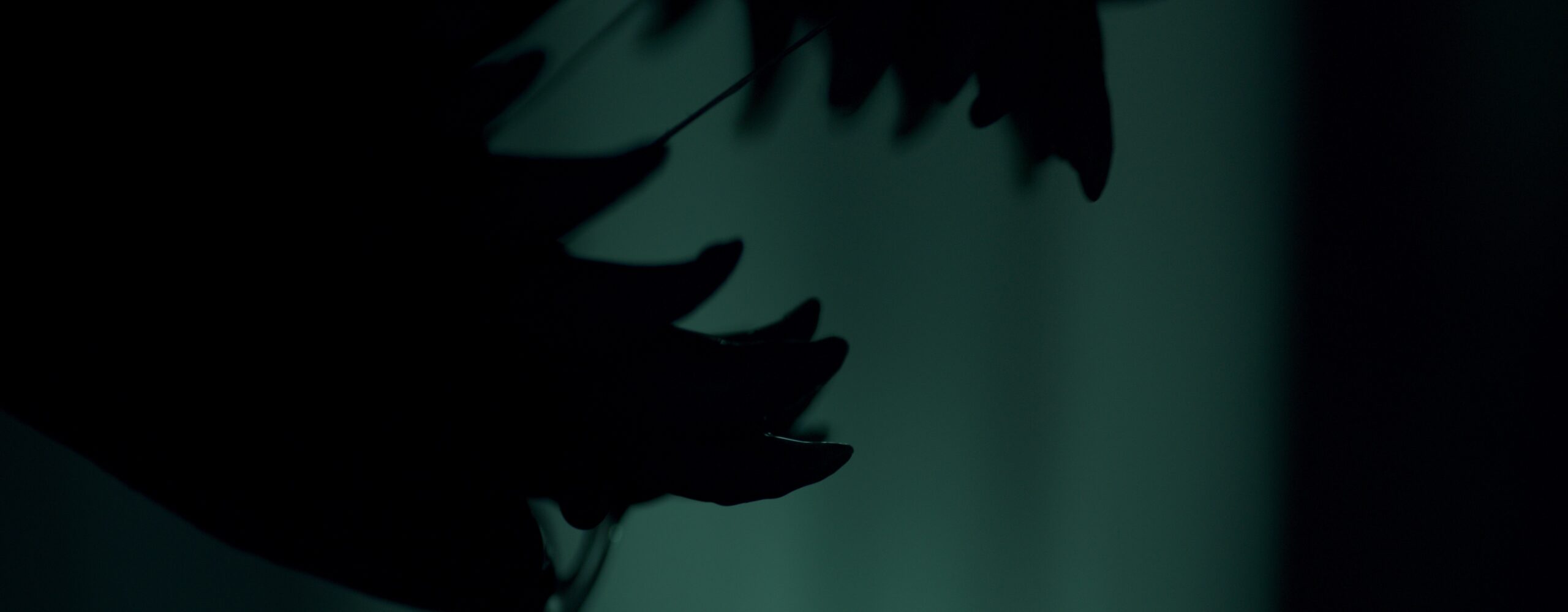 It Will Find You – Feature – 2