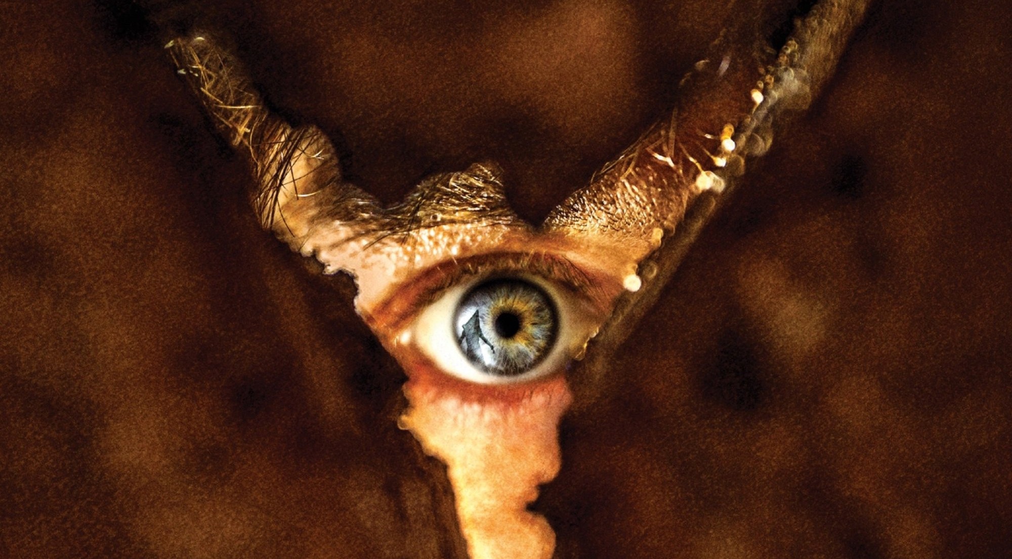 Return-To-Silent-Hill-Feature